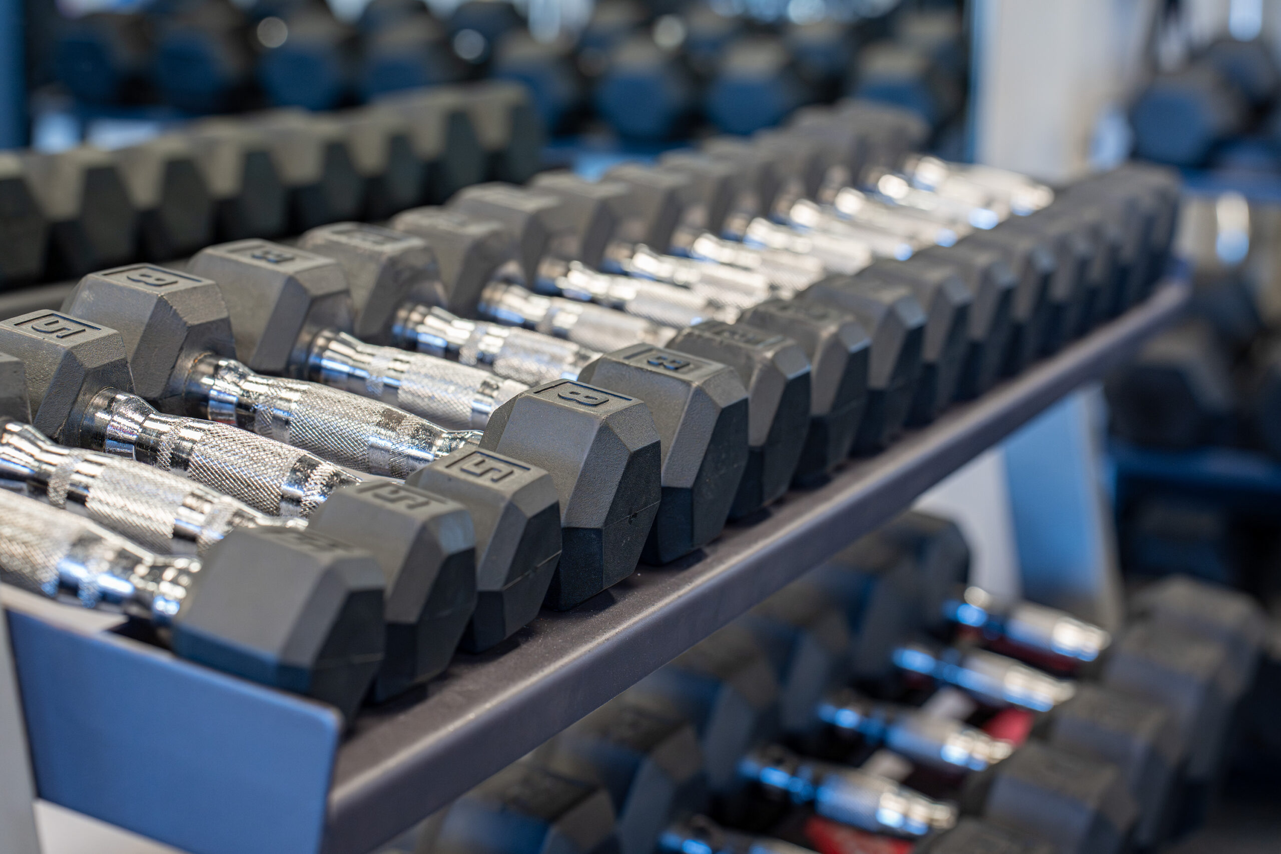 weight rack scaled